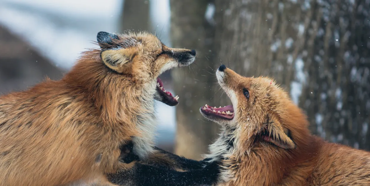 Photo by cloudvisual.co.uk on Unsplash